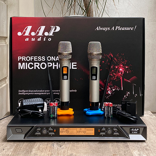 Micro AAP Audio K-900 II